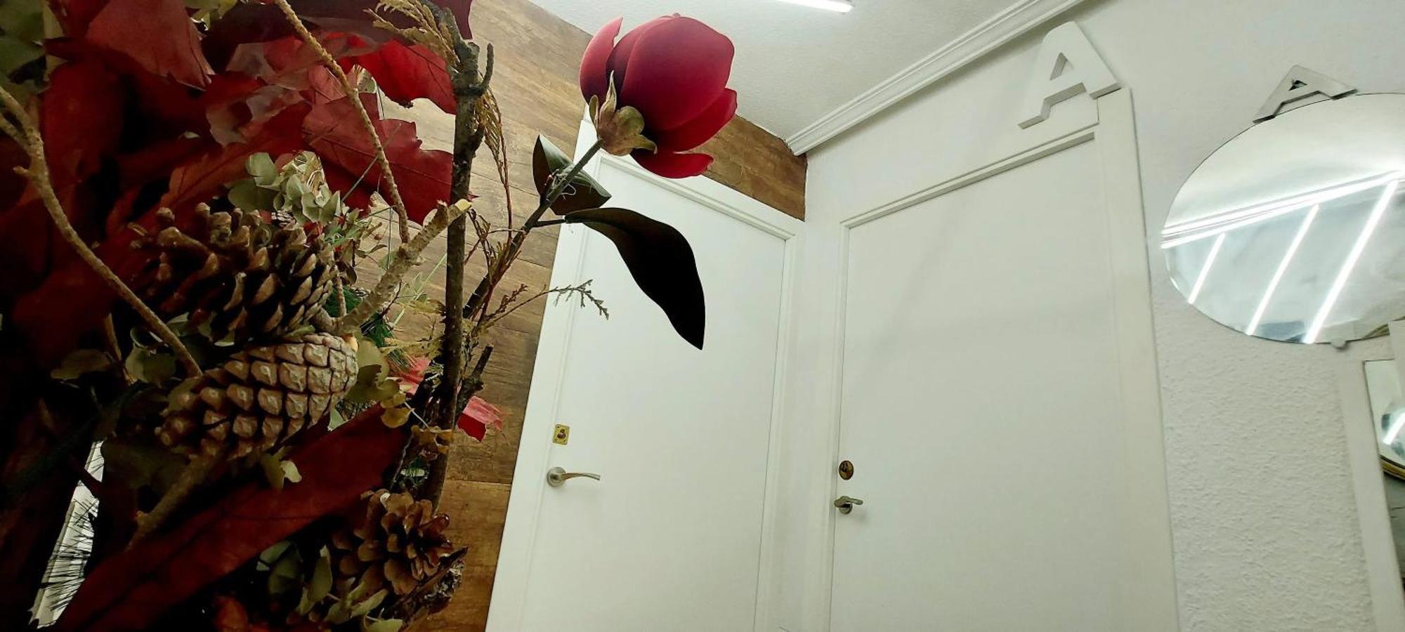 Modern Apartment In Alacant 60M² Wheelchair Accessible Alicante Exterior foto